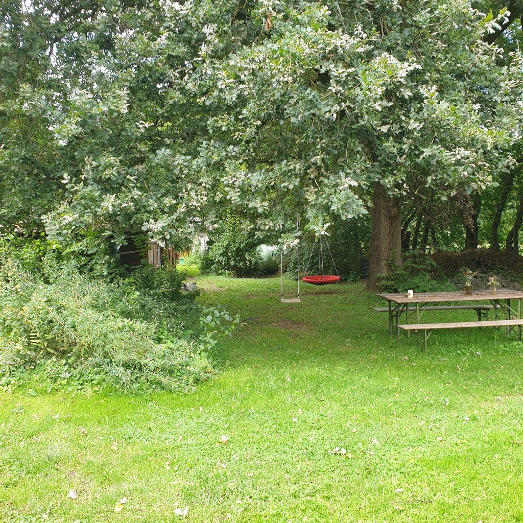 Idyllic place under oaks near the North Sea