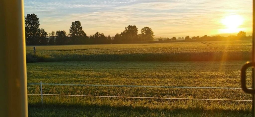 Une prairie naturelle paisible - avec vue sur la verdure