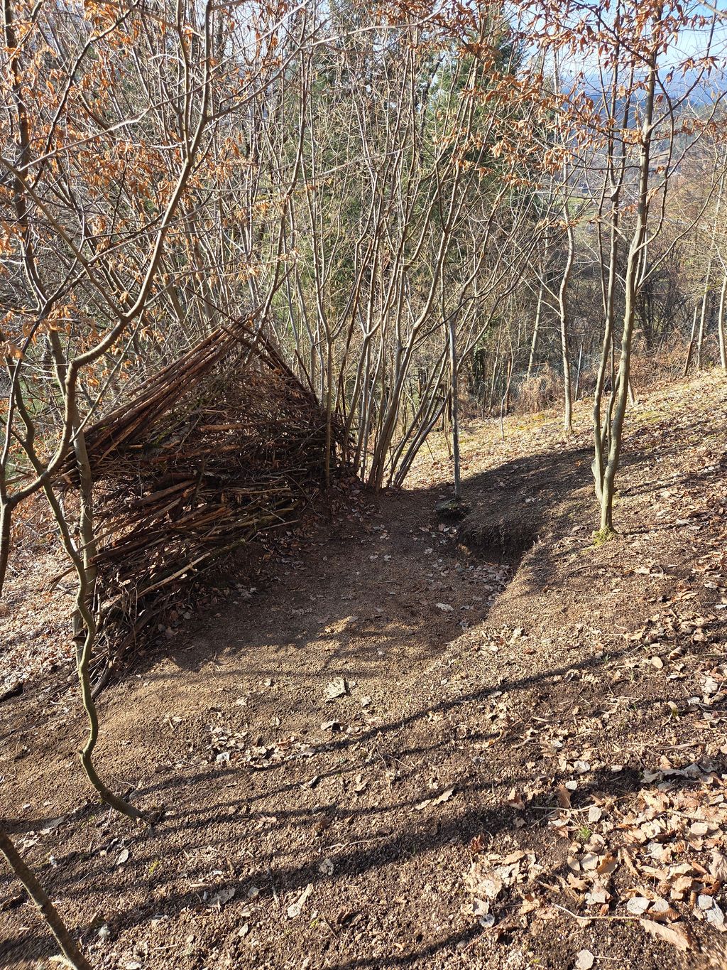 Räuberhöhle im Nordschwarzwald