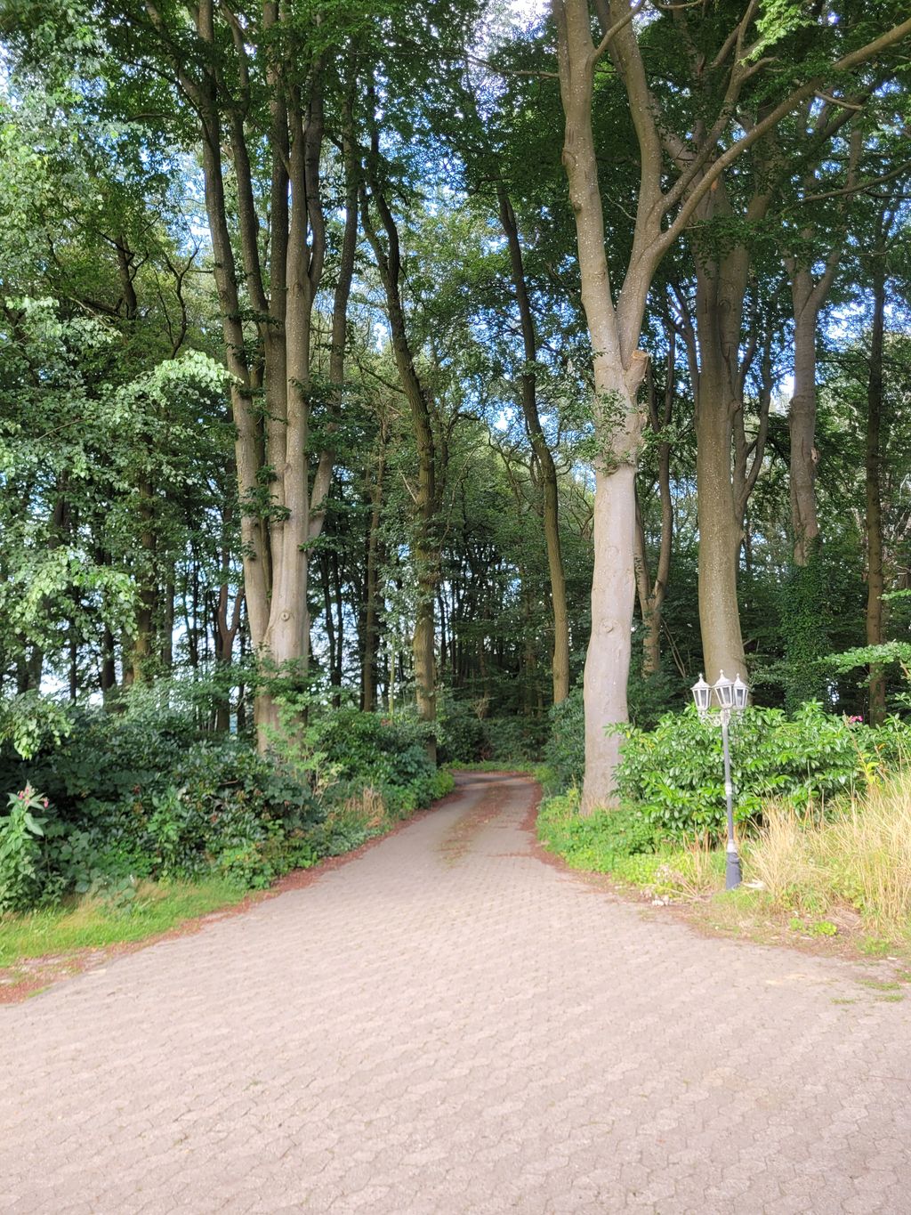 Secluded location at the house in the forest
