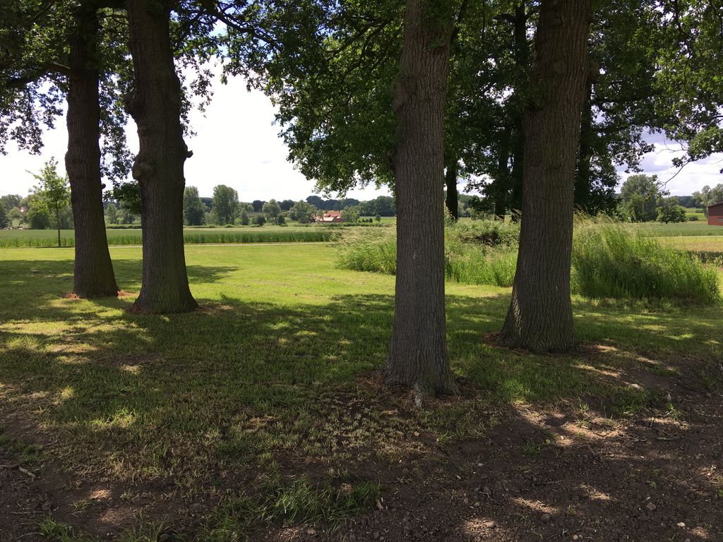 Campen an der Baumgruppe umgeben von Feldern 