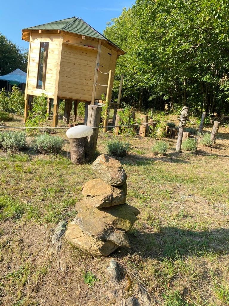 Espace infini : lit naturel pour dormir dans la verdure