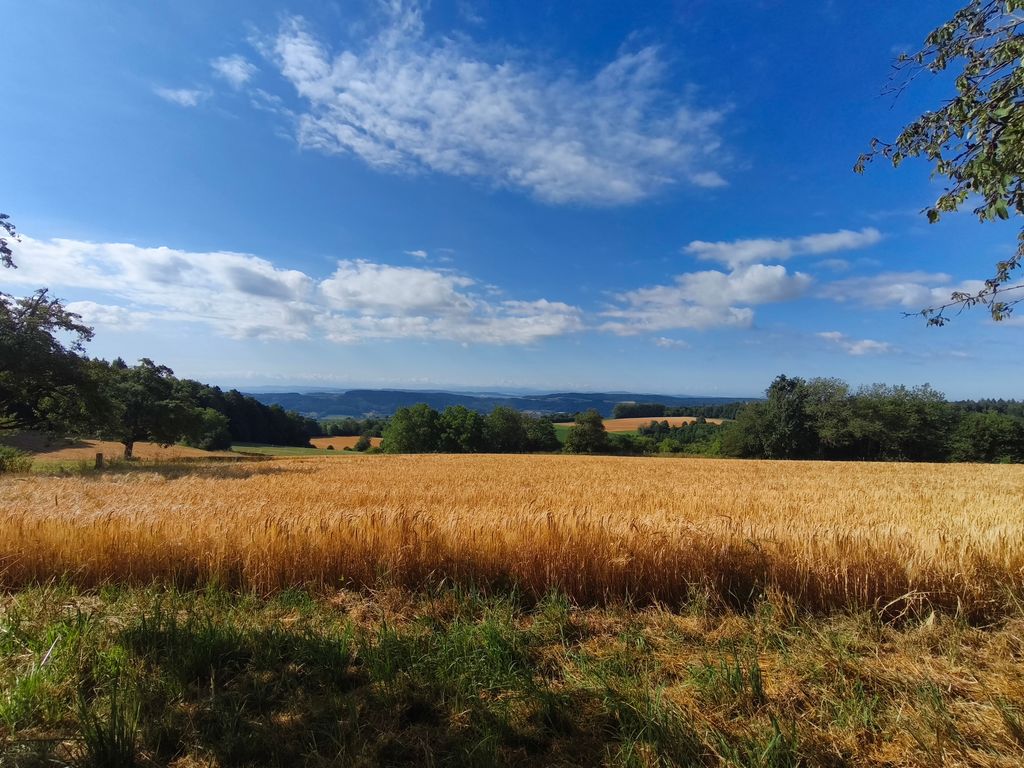 Parcelas en la granja con vistas panorámicas