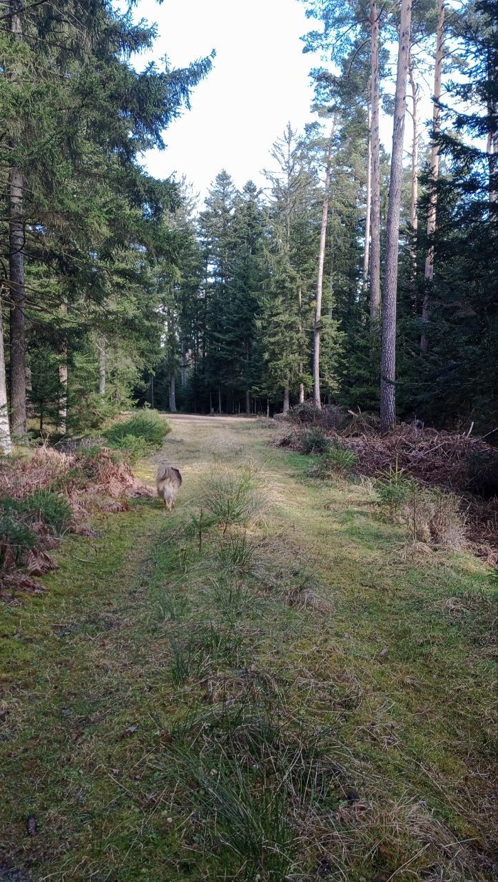 Wanderwege direkt vor der Tür