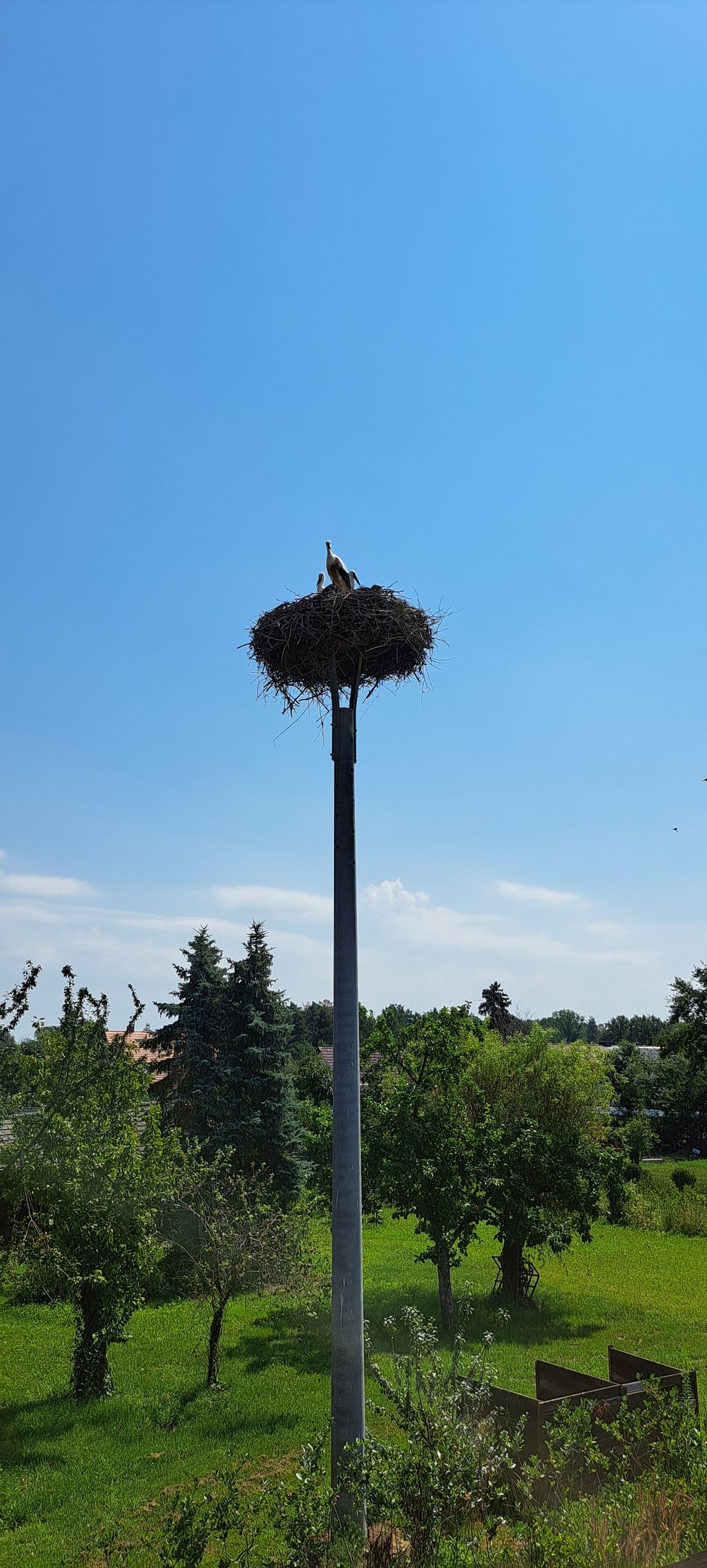 Storchenblick - nature and tranquillity on the outskirts of the city