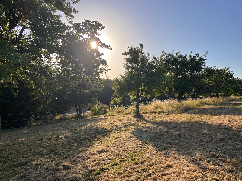 Stellplatz auf idyllischer Obstbaumwiese 