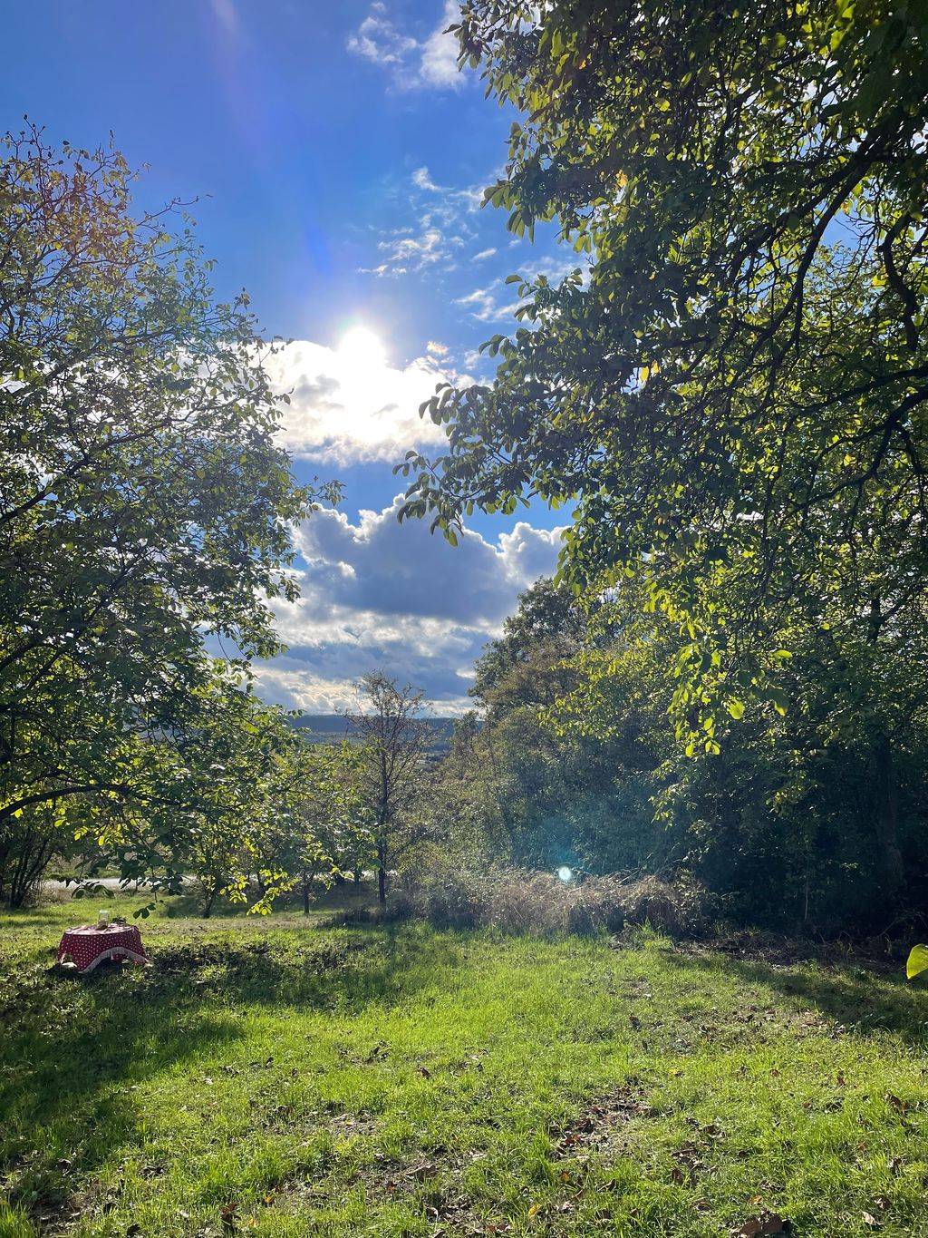 Stellplatz Taunusblick - Stadtrand Bad Nauheim