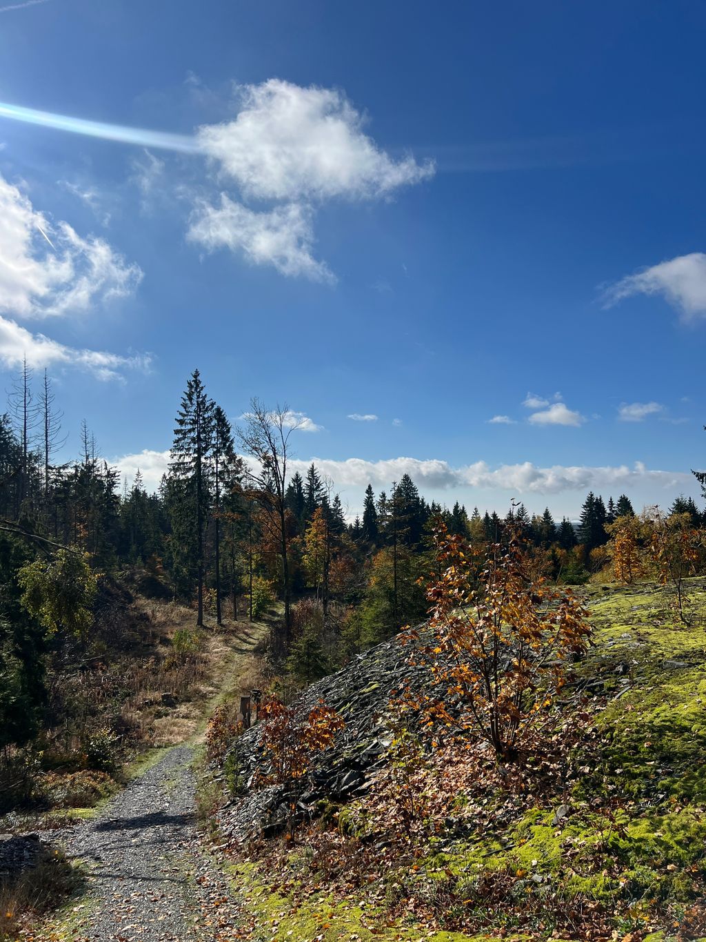 Camping auf dem Fellberg zwischen Schieferhalden
