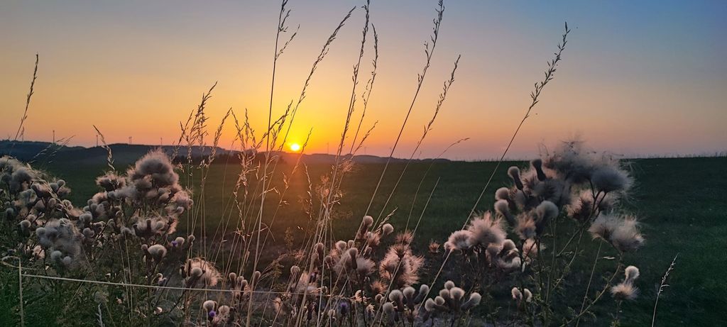 Urlaub bei Freunden auf dem Pferdehof 