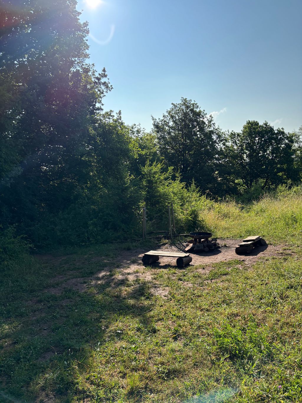 Gemütlicher Forstwagen auf der Wiese am Waldrand