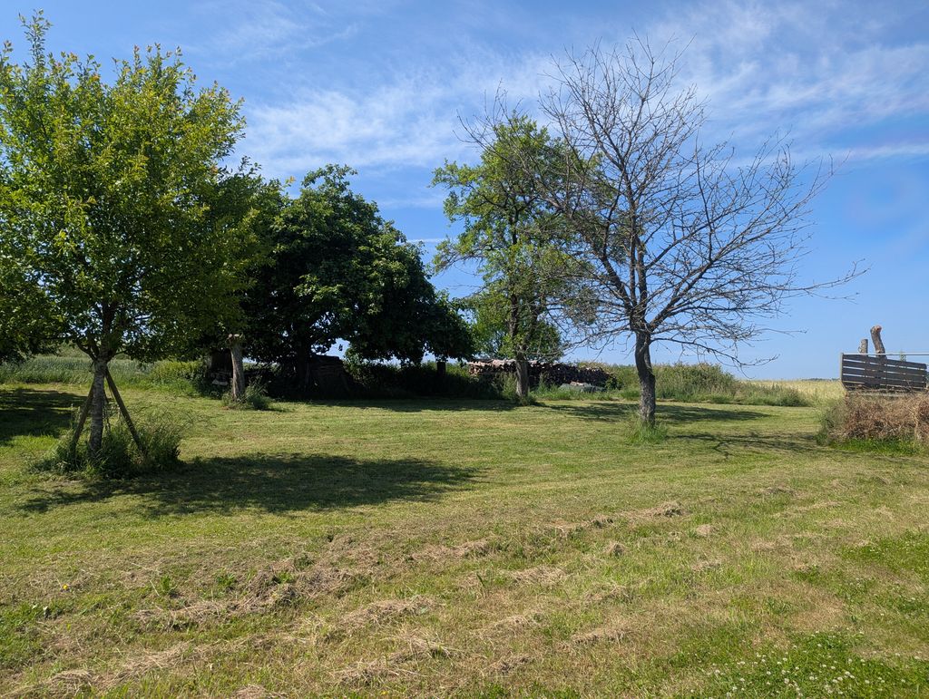Pradera cerca del aeródromo de planeadores