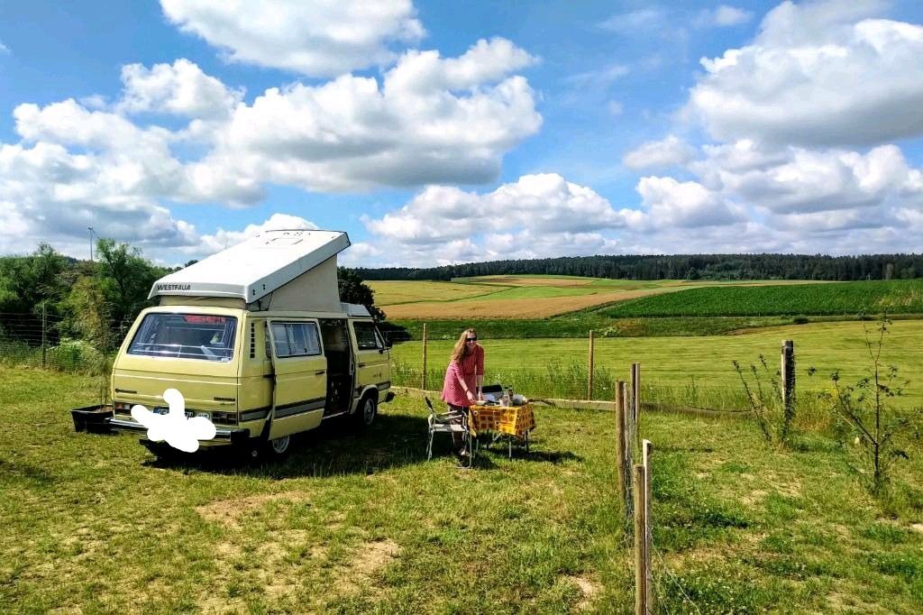 Camping près du pâturage des alpagas