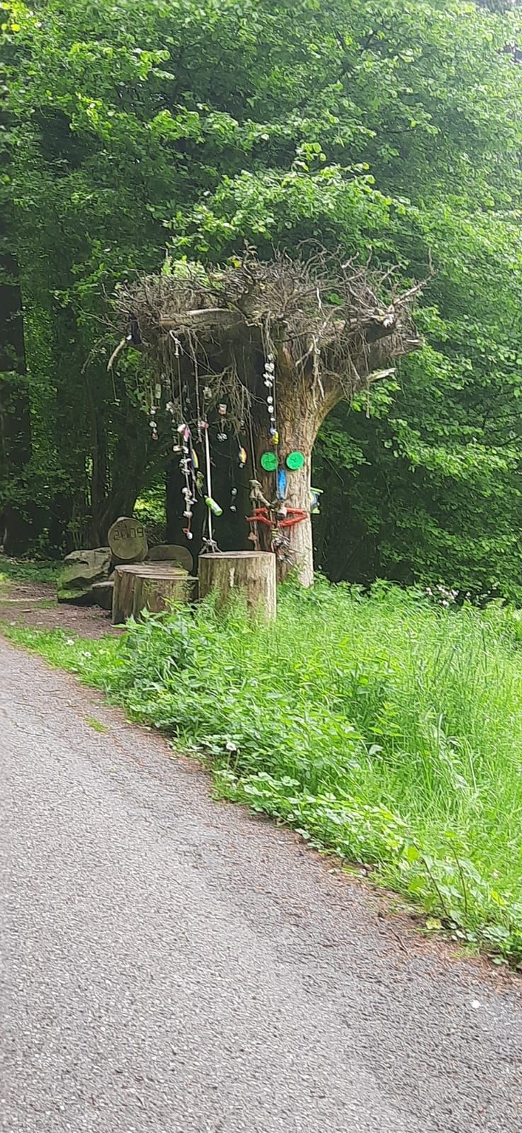 Près du ruisseau dans le village idyllique de Marienthal