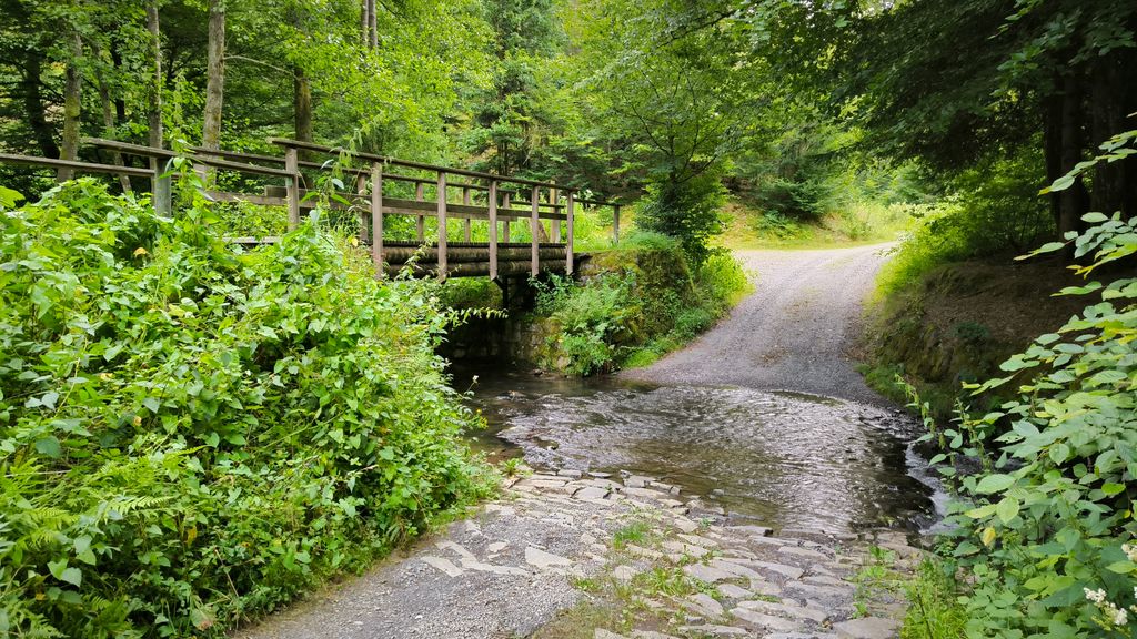 Herb garden with sun deck and bath barrel