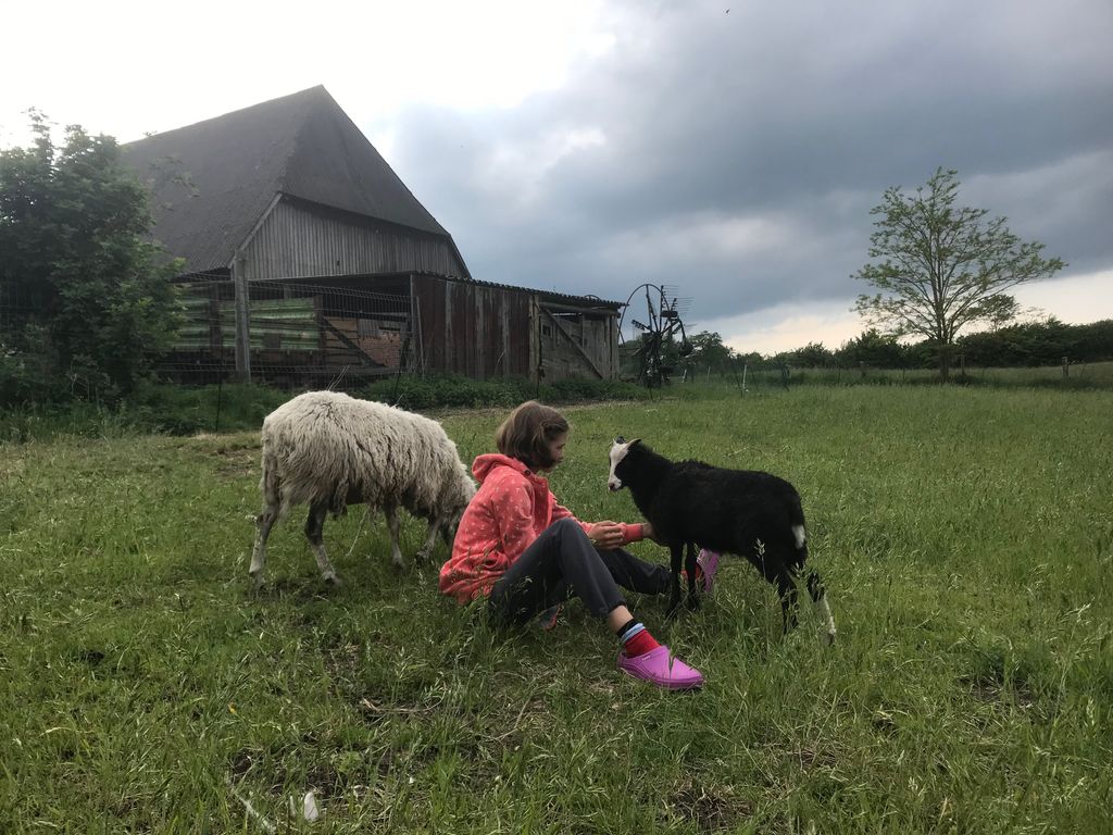 Camping à la ferme entre ruisseau et prairies