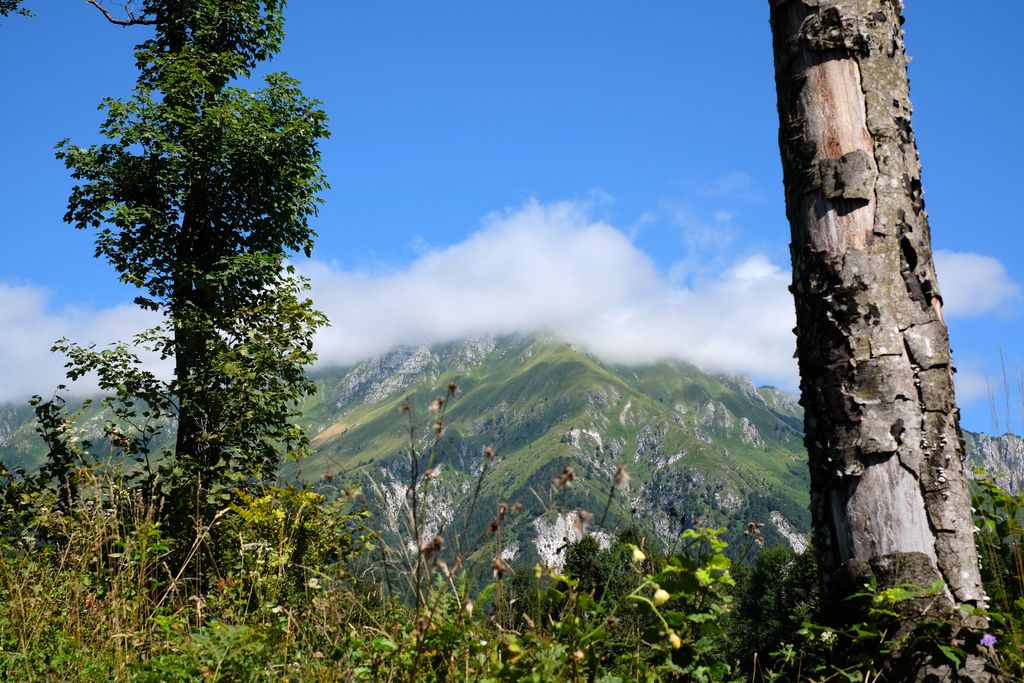 Baita Gran Monte