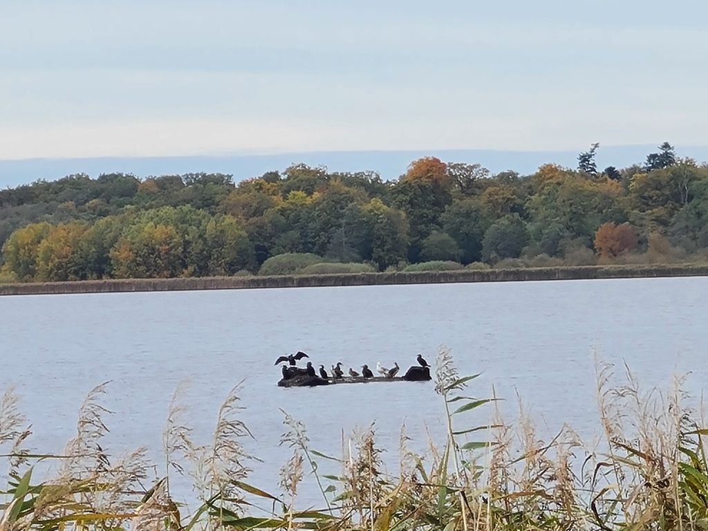 Emplacement à la ferme-Nature entre Elbe & Weser
