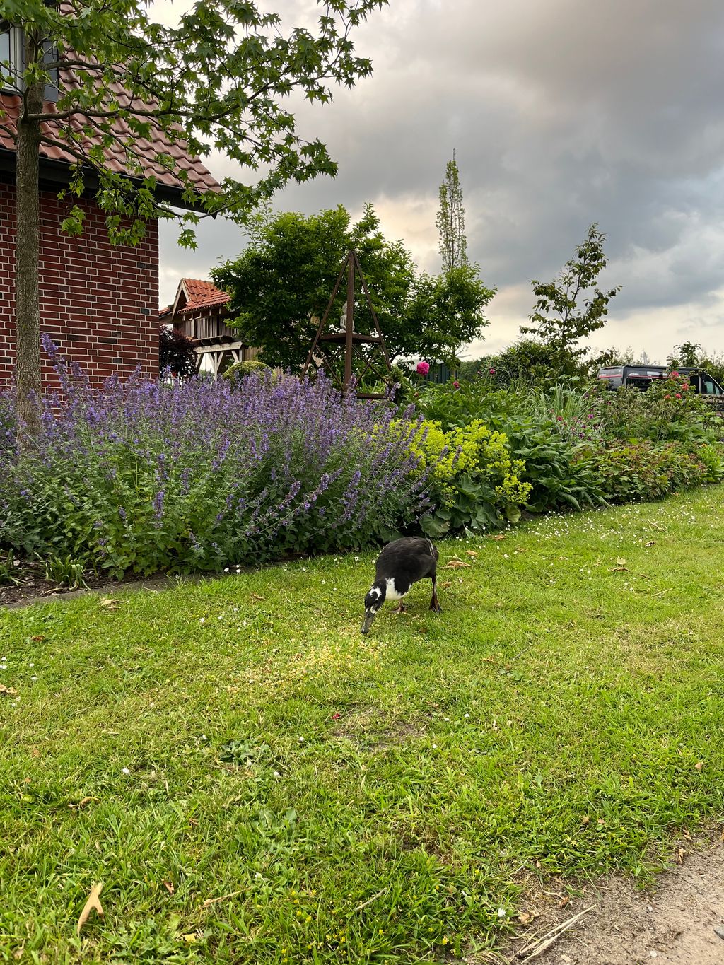 Camping à la ferme : service complet et à proximité d'Obelink