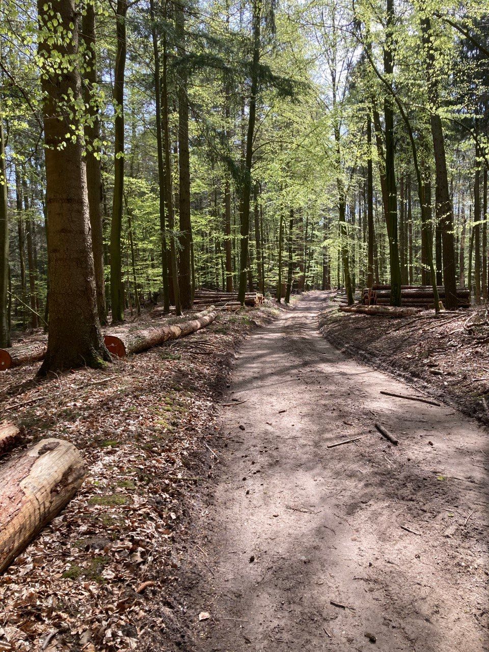 Rest farm in single location only 8 km to the Baltic Sea