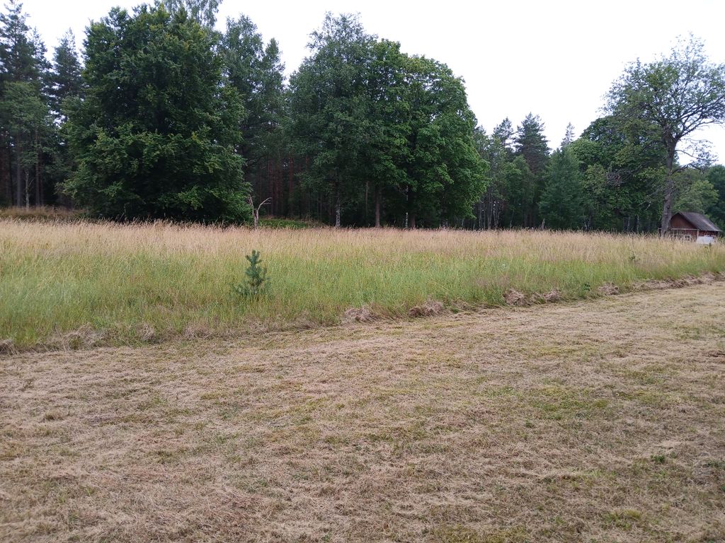 Emplacement dans un endroit absolument isolé