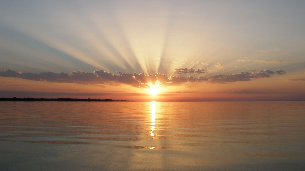Large meadow on the Szczecin Lagoon