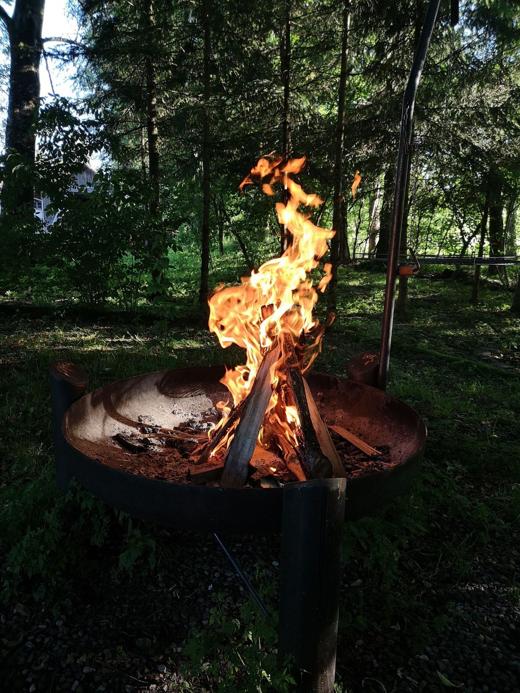 Platz unter den Birken mit Sonnenaufgang