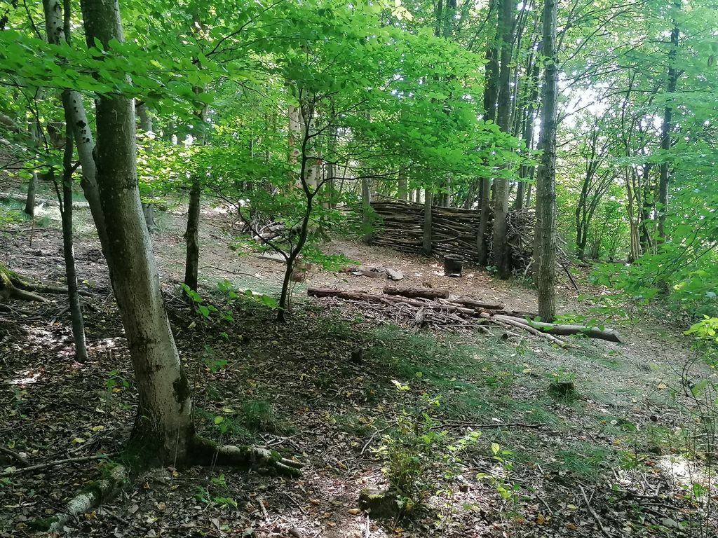 "Wildcampen" im Wald für Bushcraft-Abenteurer