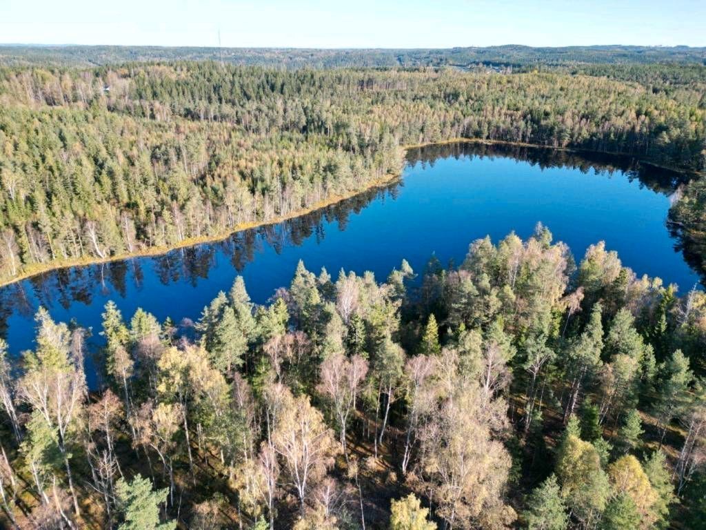 Piccola stuga/casa Rolig Räv in Svezia