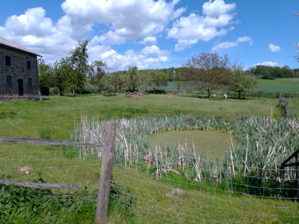 An der Schafswiese