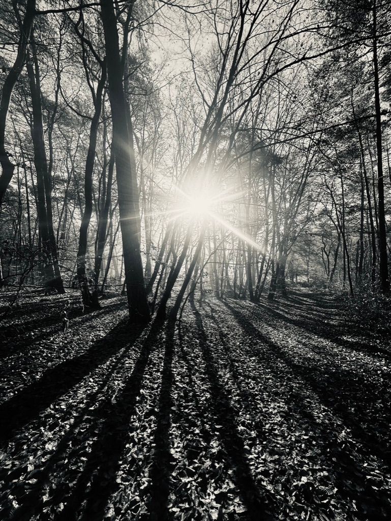 Iglucraft dans le parc naturel de Wendland, près de l'Elbe