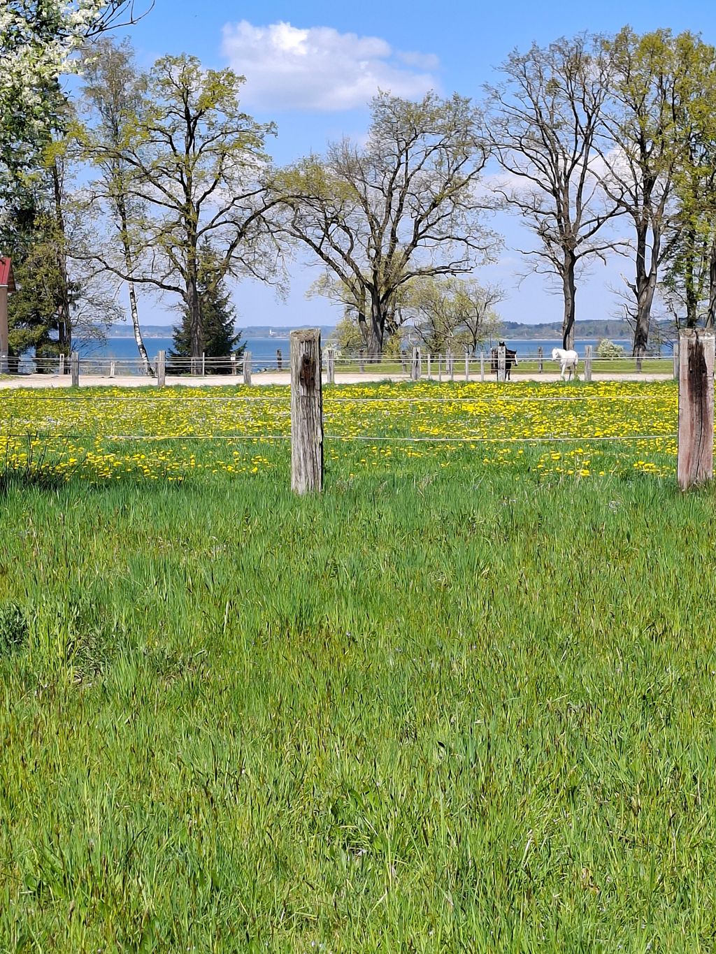 A solo 100 metros del lago Chiemsee: parcela en una granja