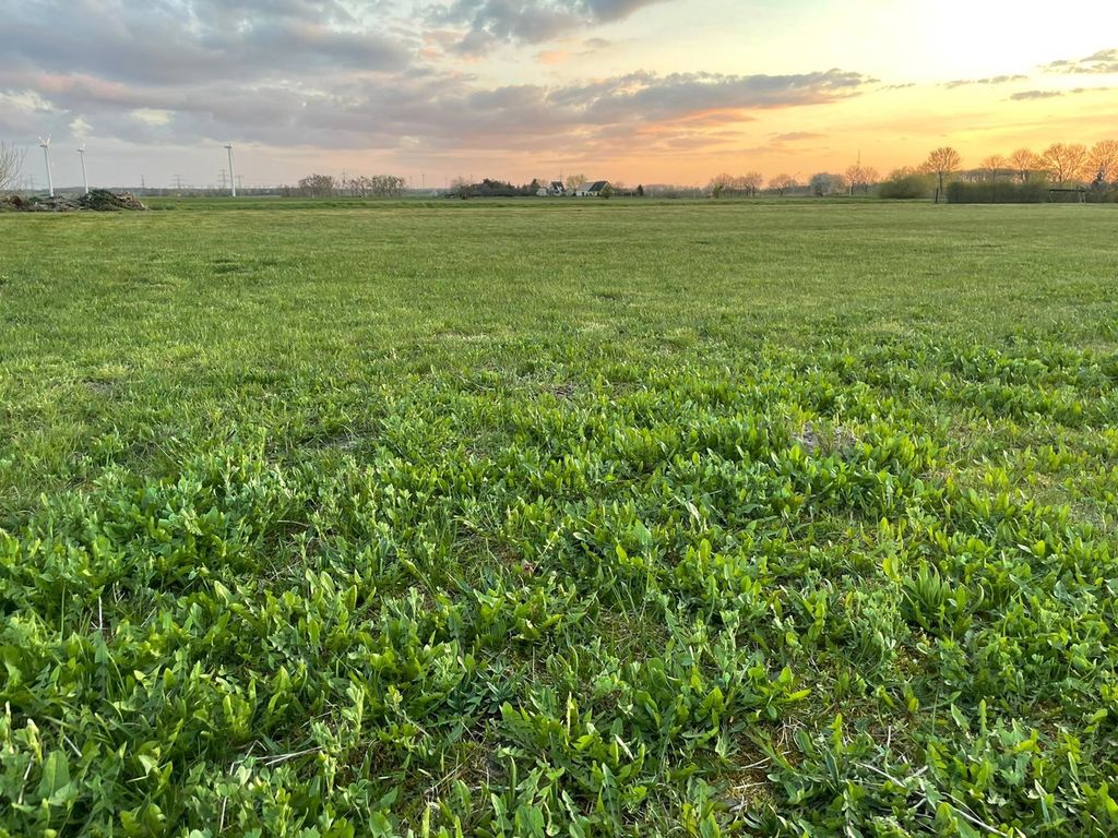 Große Wiese zum freien Stehen nahe Berlin