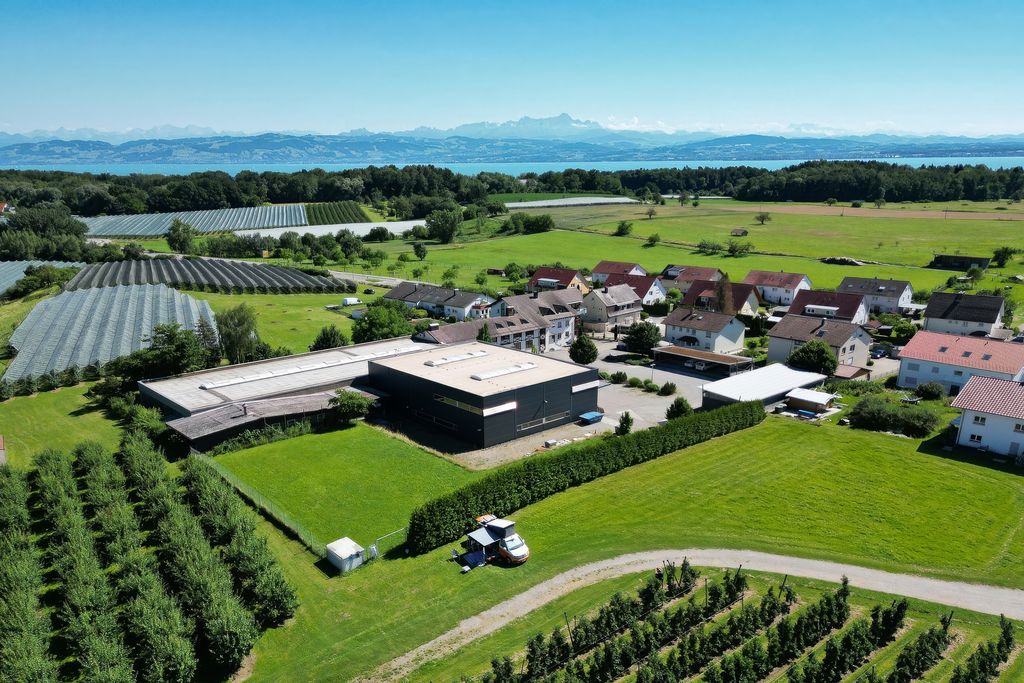 Camping with a view of Lake Constance apple trees