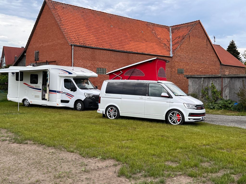 Poitou-Esel Stellplatz am Steinhuder-Meer