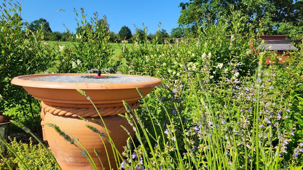 Jardin d'herbes aromatiques avec terrasse et baignoire