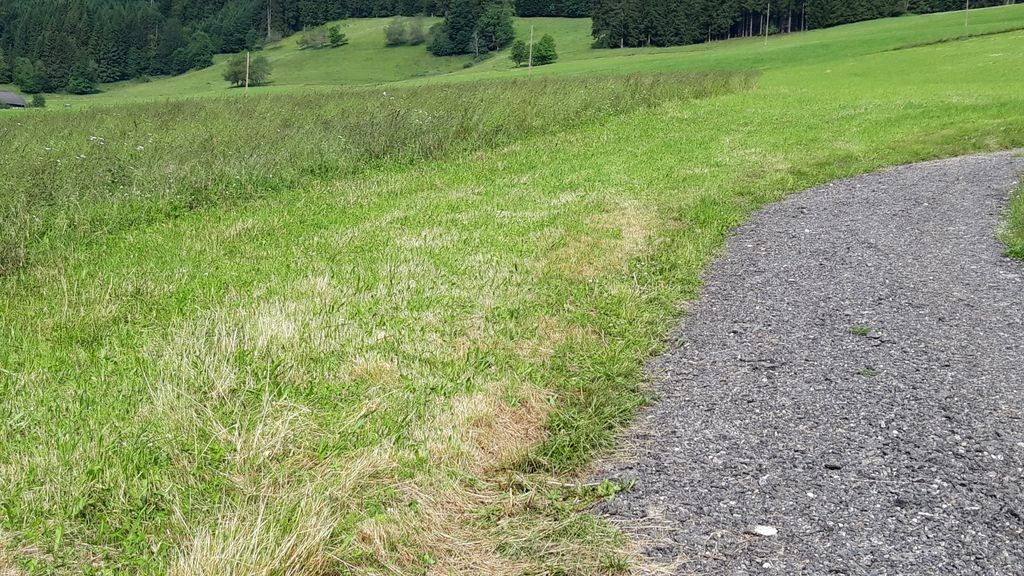 Stellplatz im Schwarzwald mit einmaliger Aussicht 