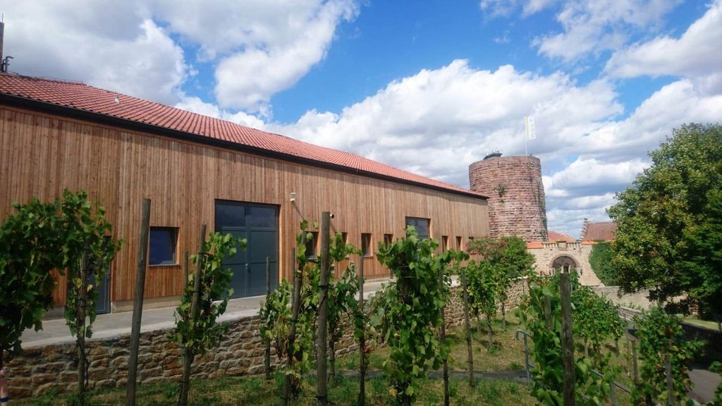 Bodega ecológica en el castillo de Saaleck
