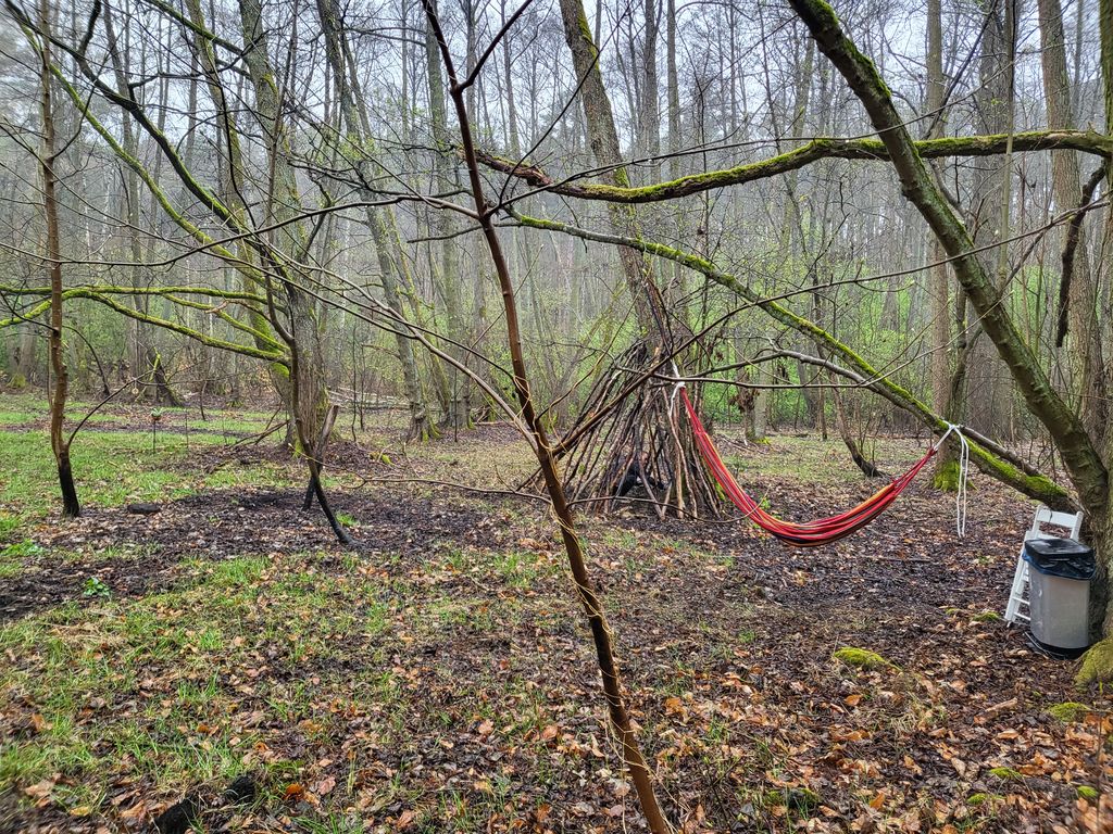 Un idilliaco pernottamento nel bosco nei pressi di Potsdam