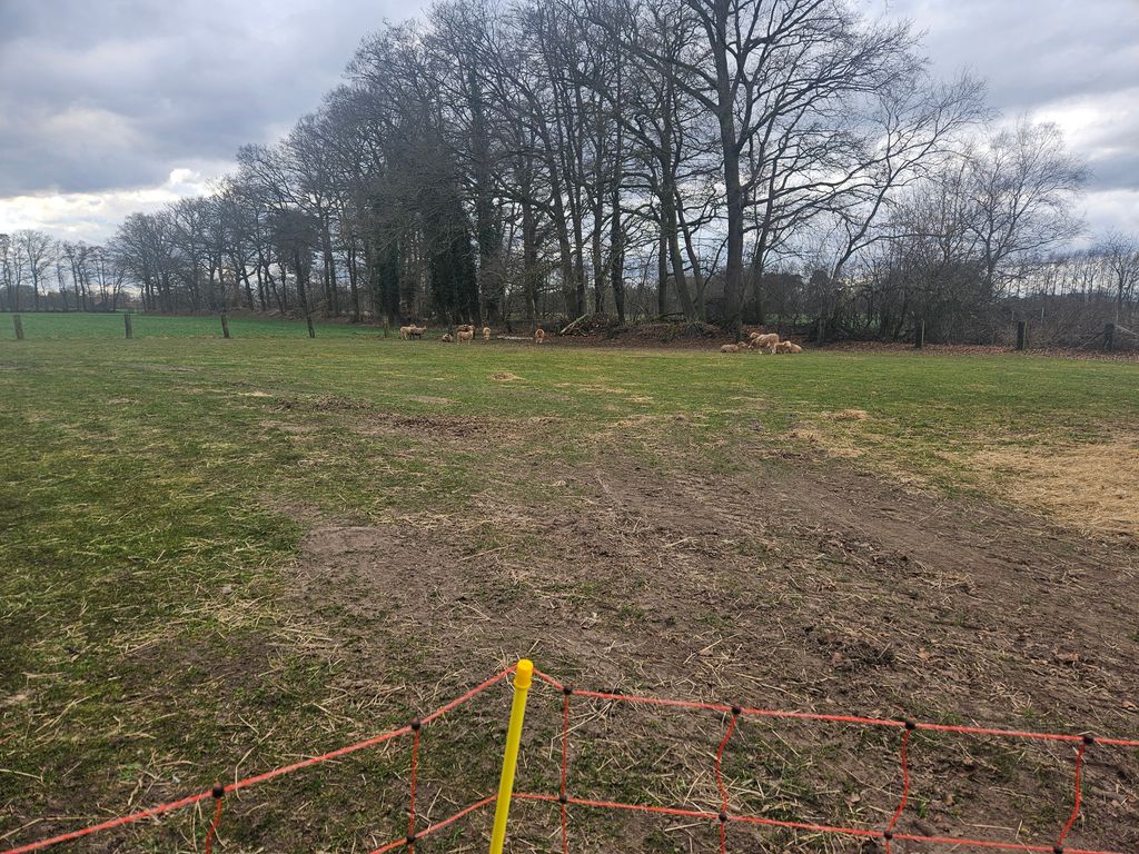 Ruhiger Stellplatz auf altem Bauernhof