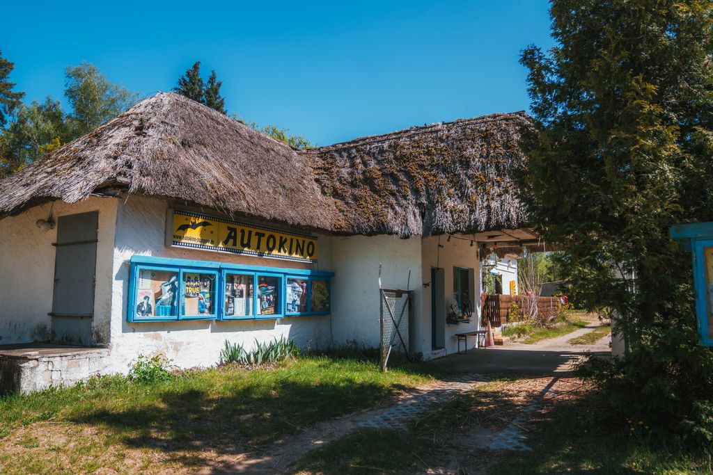 Passer la nuit dans un cinéma en plein air culte