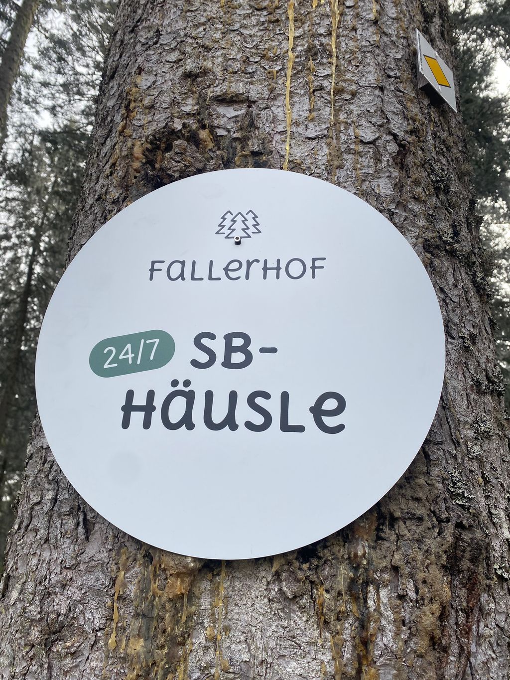 Bei der Fallerhütte im Schwarzwald mit Grillstelle