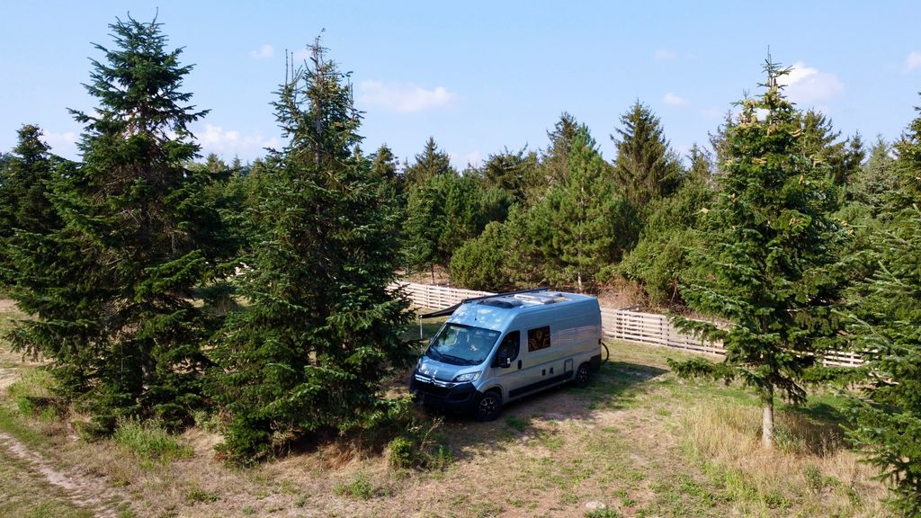 Werderaner Tannenhof | Camping in den Tannen