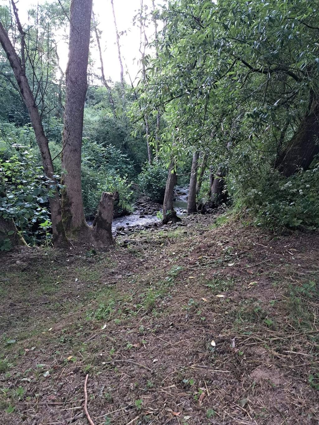 Camping con un arroyo en la región de Eifel