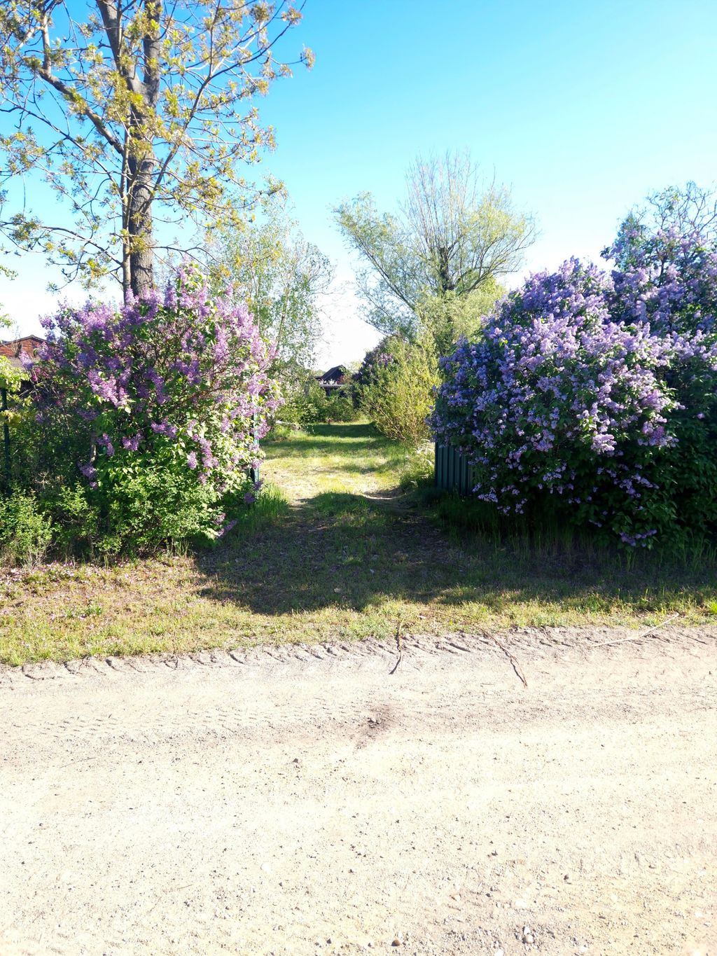 Camping near the Spreewald - Between Berlin & Dresden