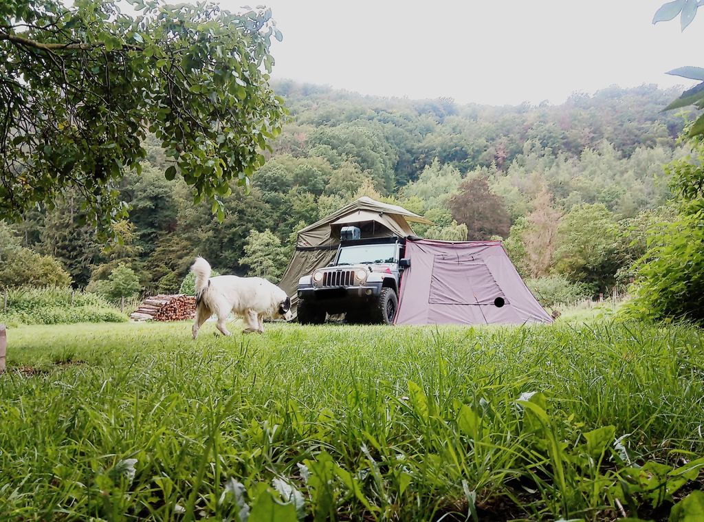 Vacances dans la plus belle vallée latérale de la Moyenne Moselle