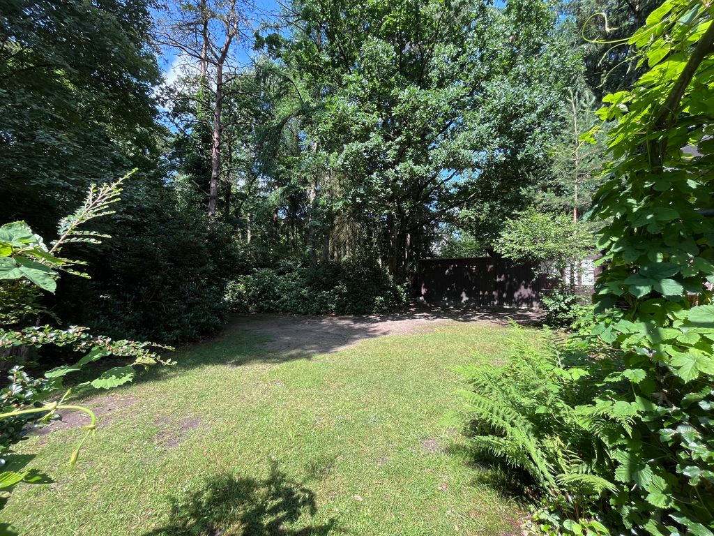 Idillio forestale tra Amburgo e Lüneburg Heath