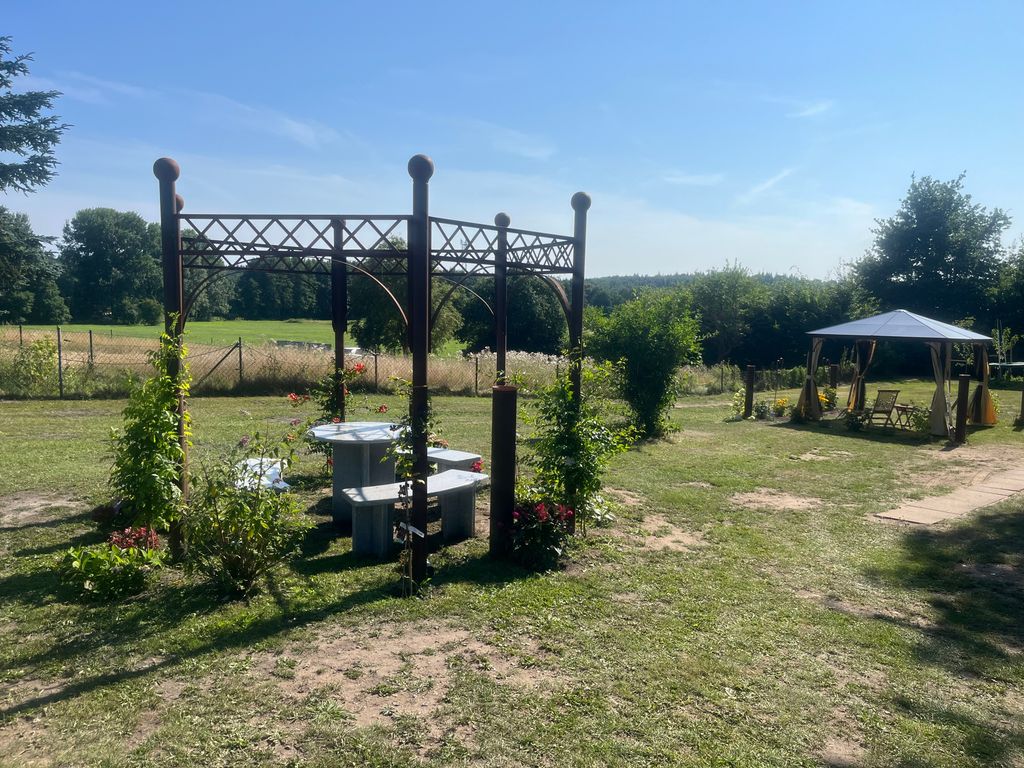 Gemütliches Camp unter den Birken