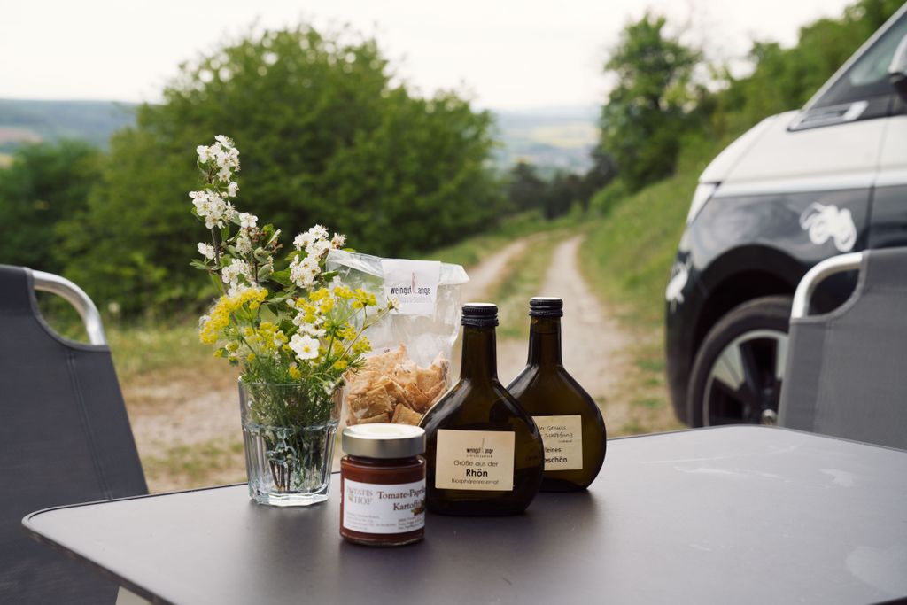 Domaine viticole biologique du château de Saaleck