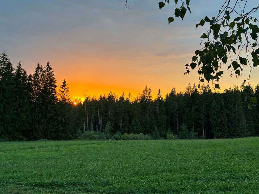 Absolute Alleinlage im Allgäu