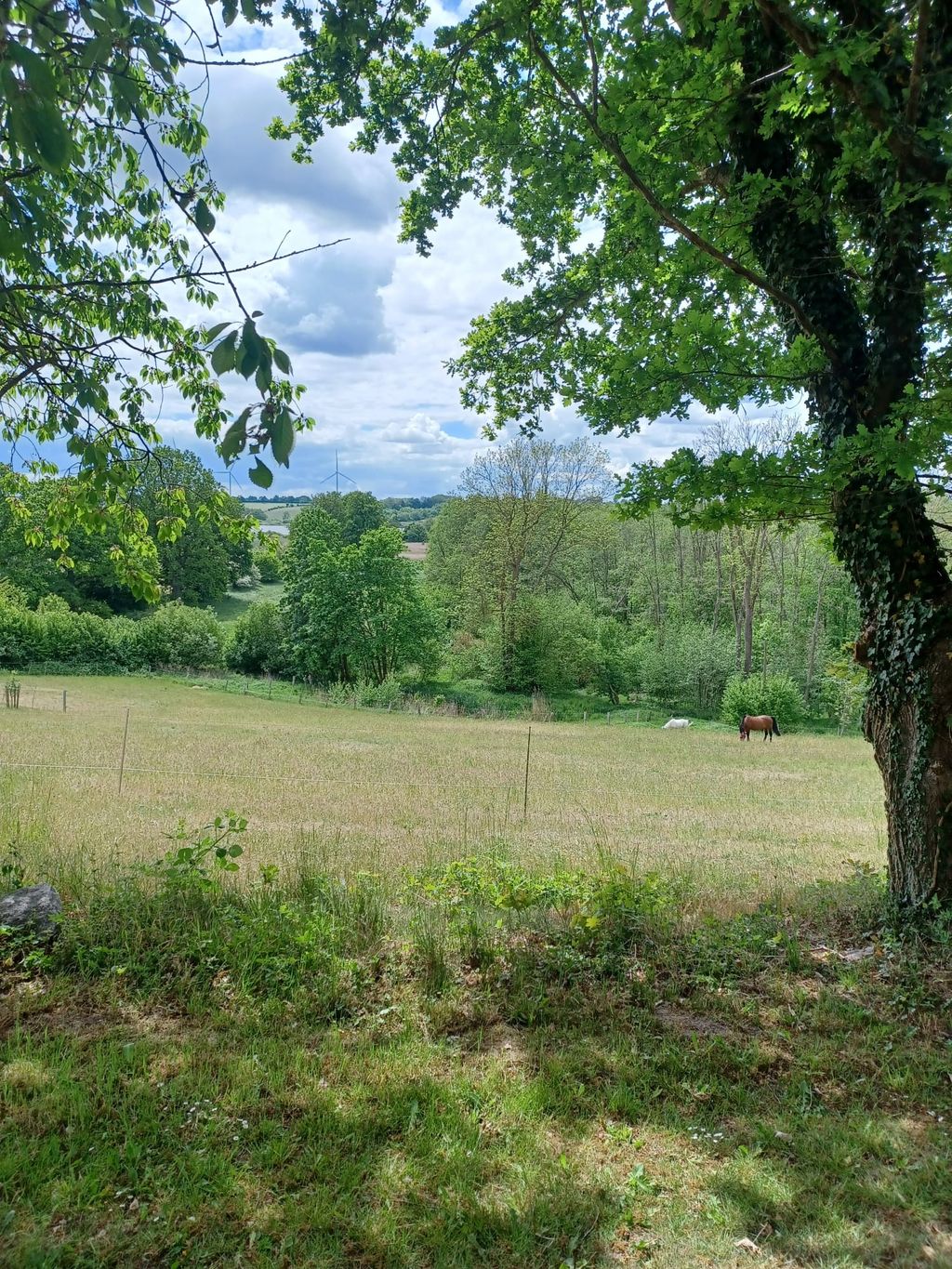 Idyllic pitches near the Baltic Sea & Hansapark